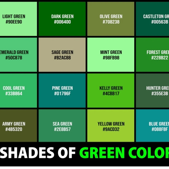 Talbots Green Button Front Long Sleeve Blouse with Pleated Detail Size 10 - Picture 12 of 12